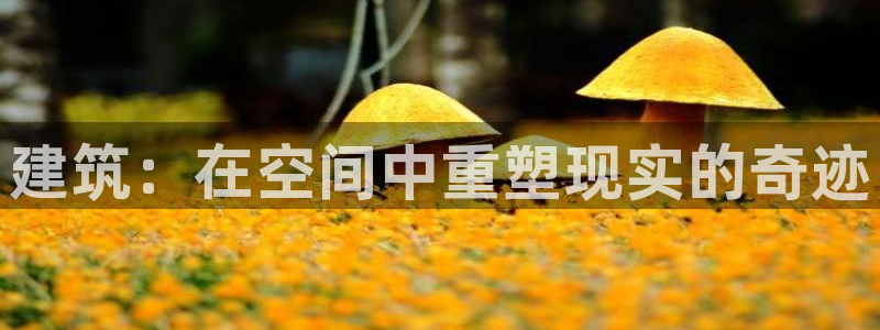 c7娱乐赛：建筑：在空间中重塑现实的奇迹