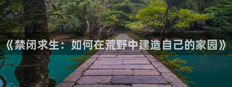 c7娱乐币：《禁闭求生：如何在荒野中建造自己的家园》